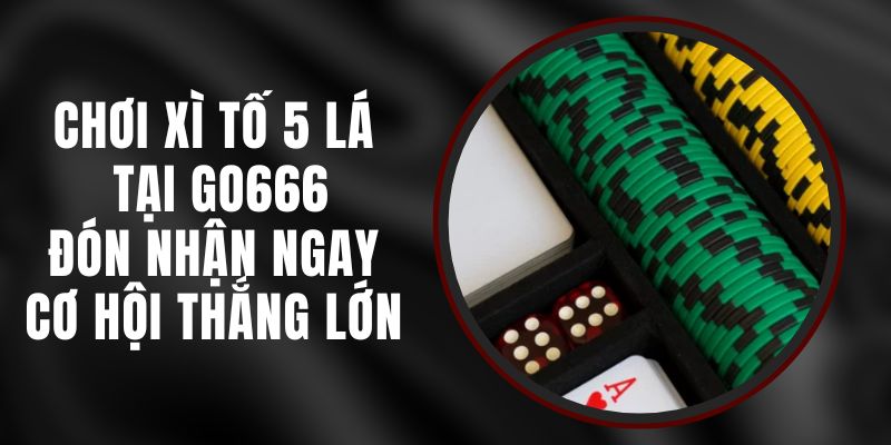 Chơi Xì Tố 5 Lá Tại Go666 - Đón Nhận Ngay Cơ Hội Thắng Lớn