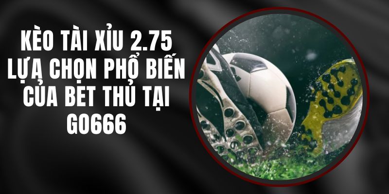 Kèo Tài Xỉu 2.75 - Lựa Chọn Phổ Biến Của Bet Thủ Tại Go666